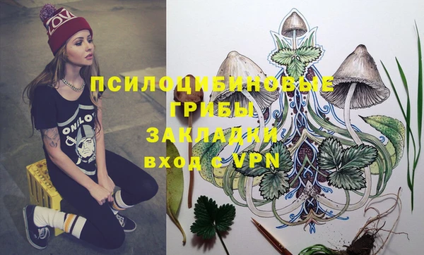 spice Бронницы