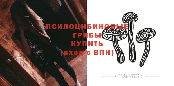 герыч Бородино