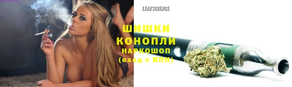 spice Бронницы