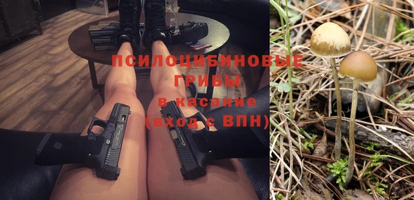 герыч Бородино