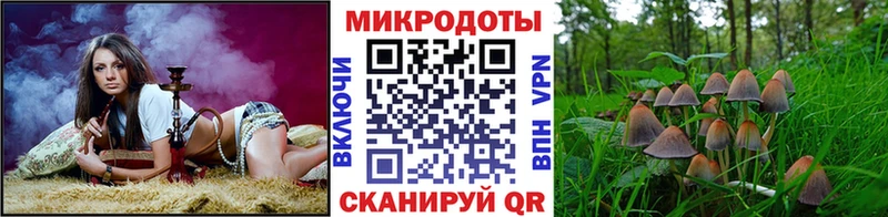 Псилоцибиновые грибы мицелий  Кимры 